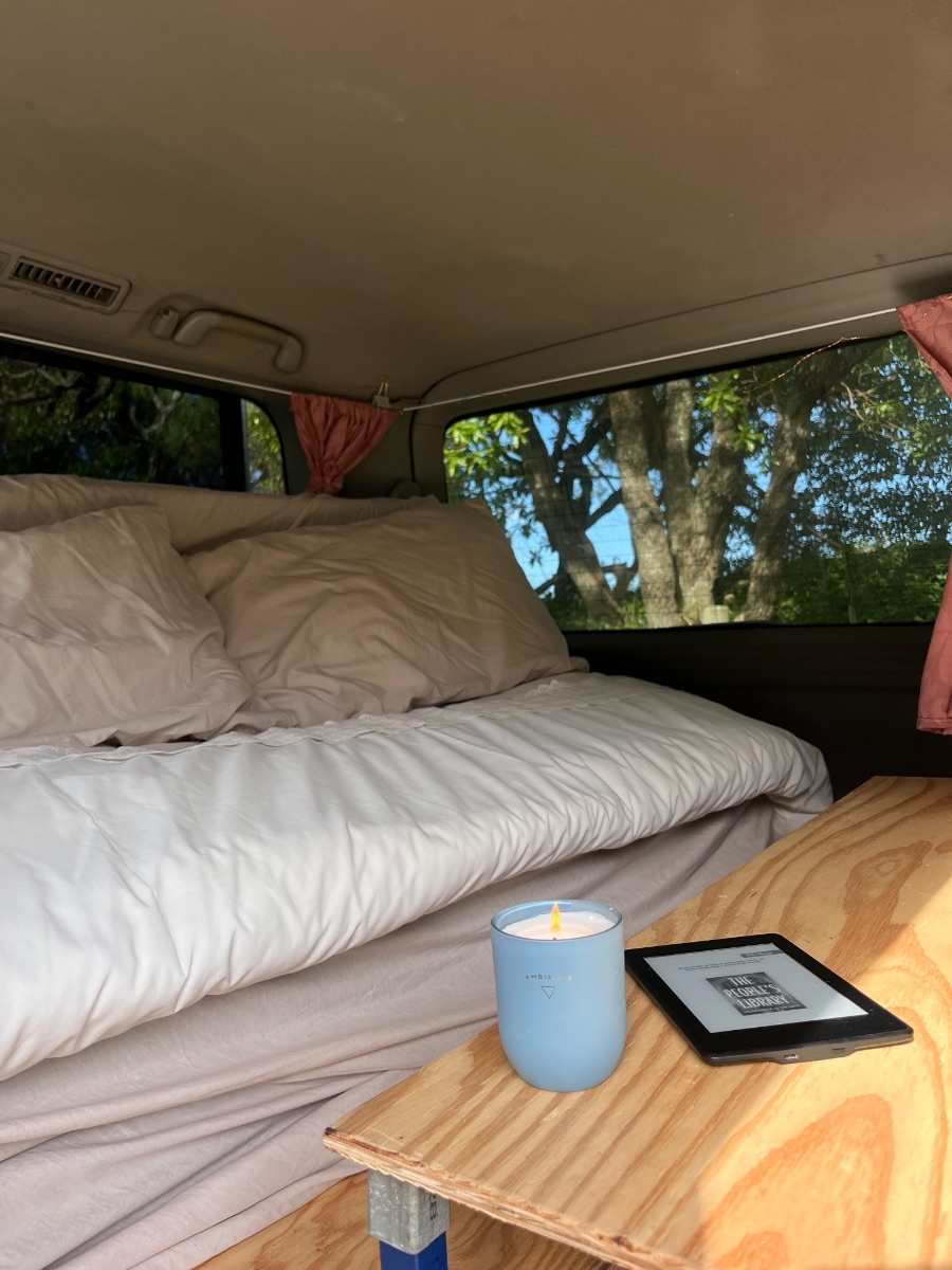 2004 Toyota ALPHARD — photo 3