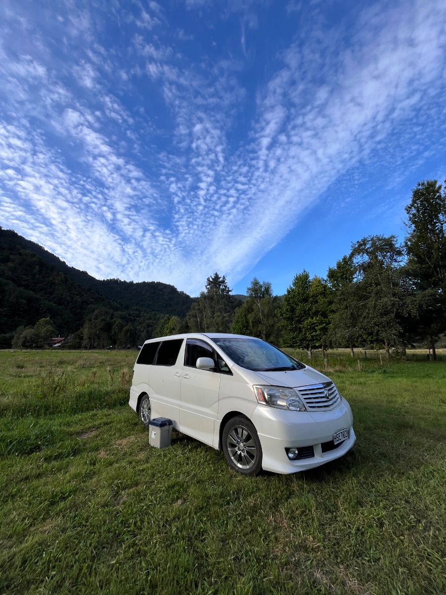 2004 Toyota ALPHARD — photo 4