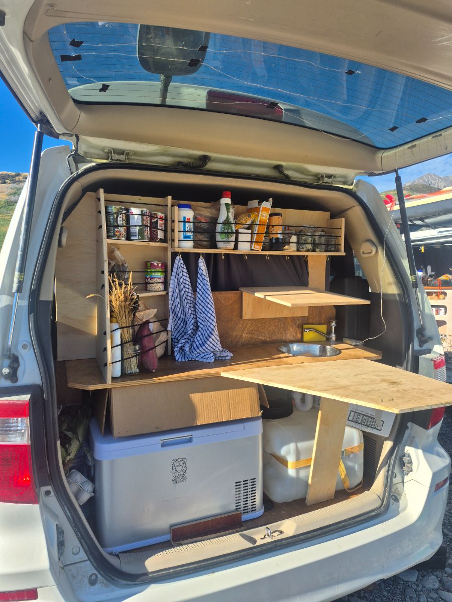 2004 Toyota Alphard — photo 2