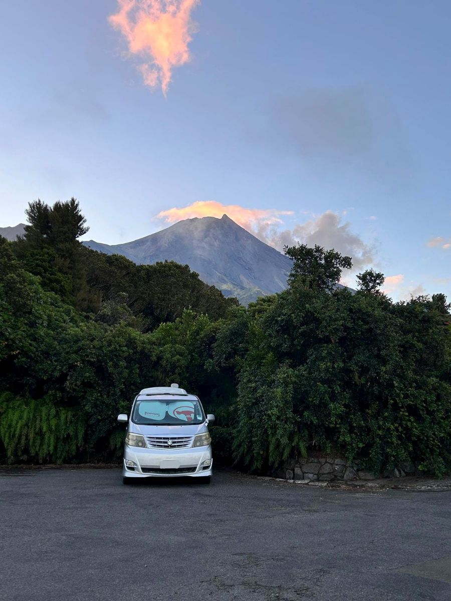 2006 Toyota Alphard — photo 3