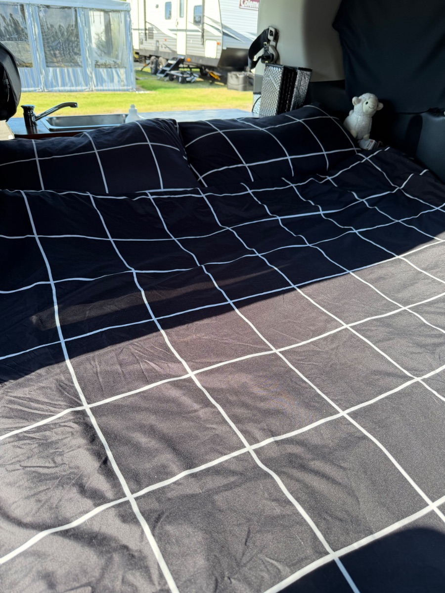 2012 Nissan Serena — photo 3